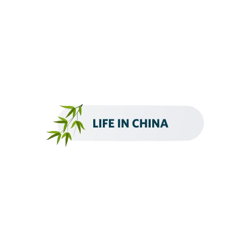 Life in China as an au pair at Masons Au Pair Chengdu China